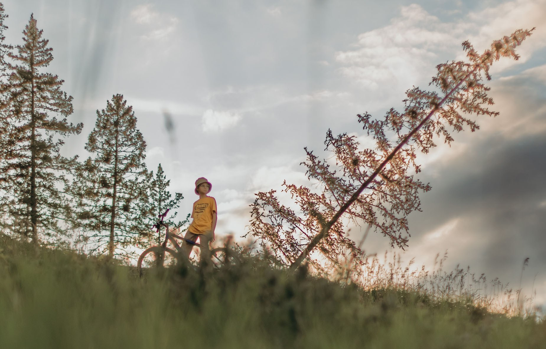 Tarifs, forfaits. I am a portrait and family photographer Jenny in Calgary