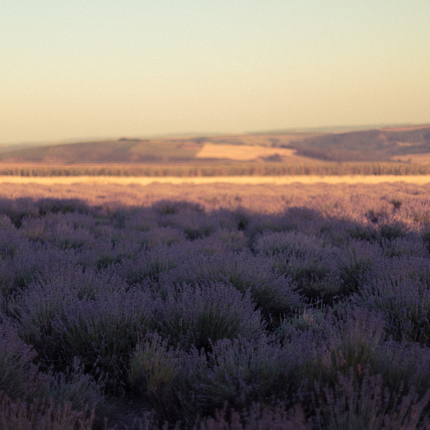 WORLD PHOTO. International Photographer