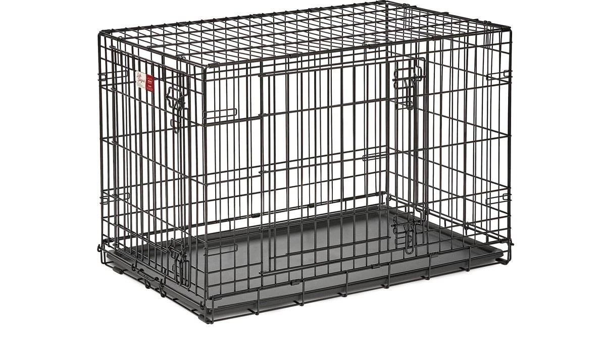 FAQ. Spumanti Dobermans