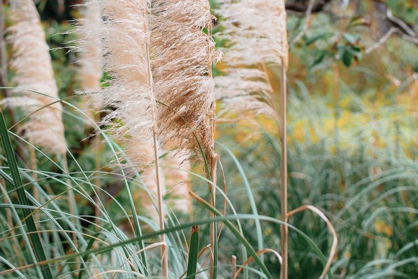 Event & Reportage Photography. Romantic & Soulful Photography by Natalia Olhova in Rotterdam