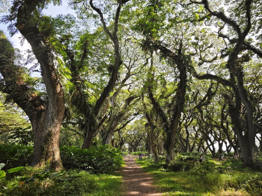 7-10 Большой Ява тур по 4 фантастическим локациям. Индивидуальный и парный фотограф на Бали — Bali Dream Photo