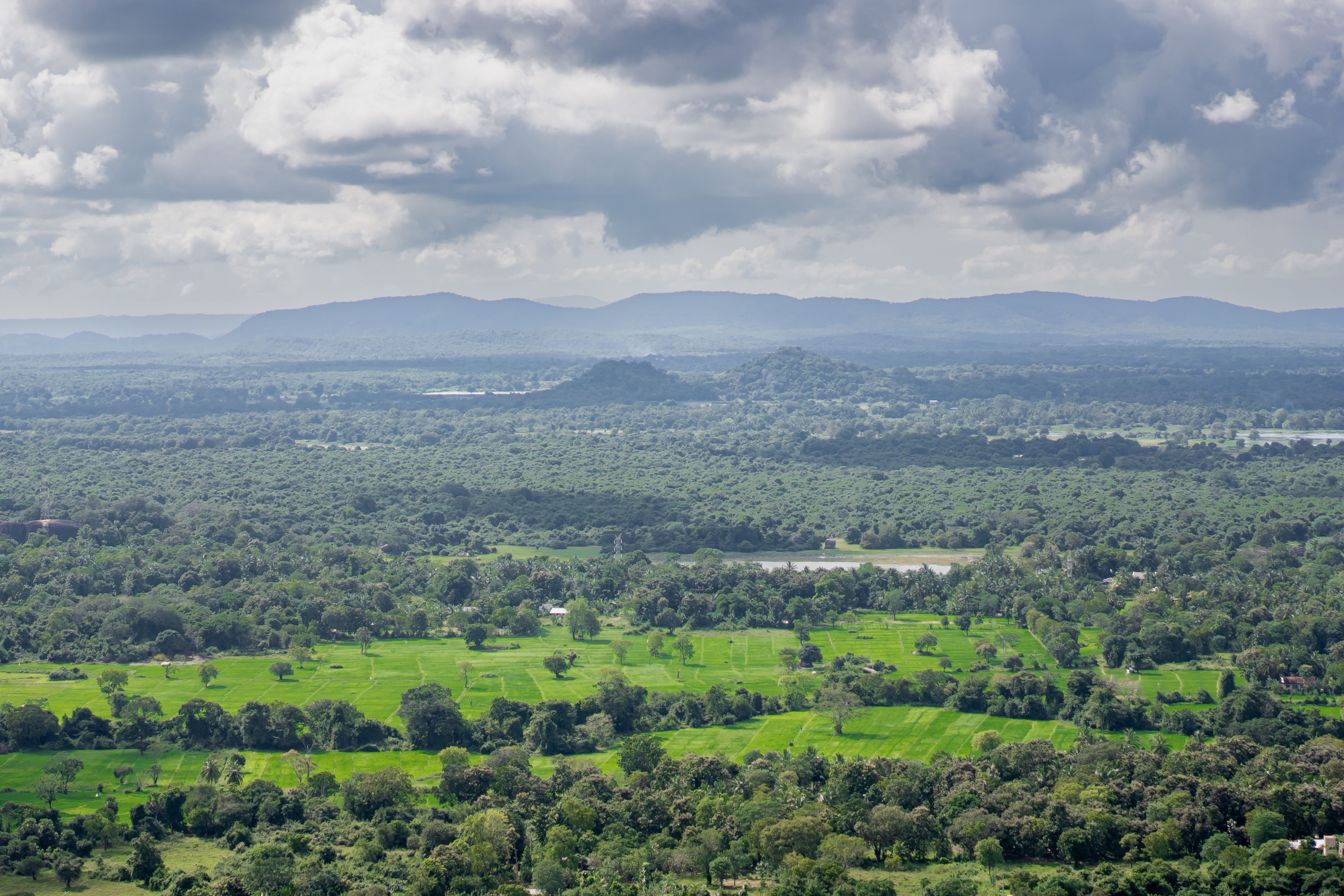 Sri Lanka'ya Seyahat Etmenin Artıları ve Eksileri - Kapsamlı Bir Rehbe