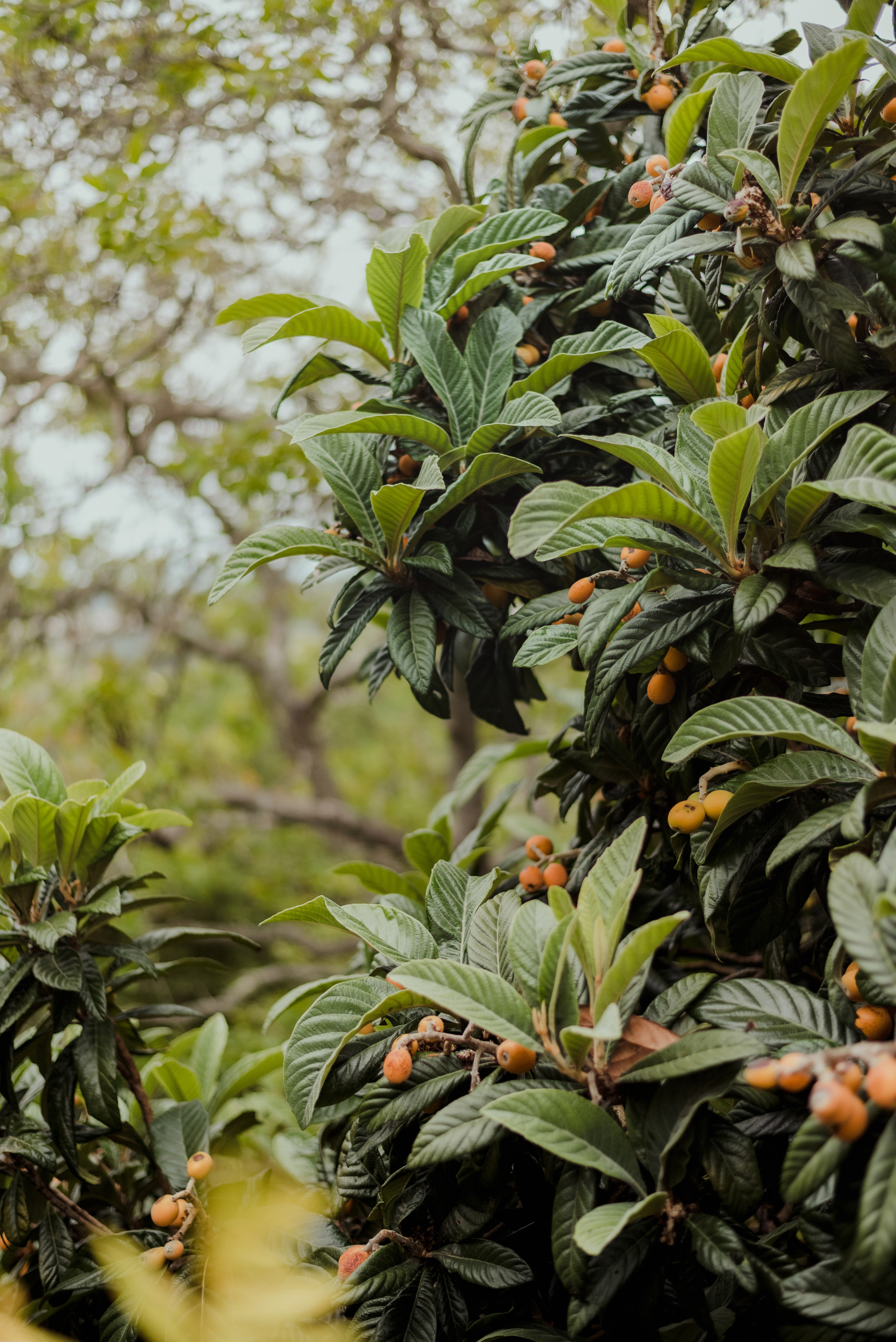 Garret + Filipe. Lifestyle, wedding and family photographer