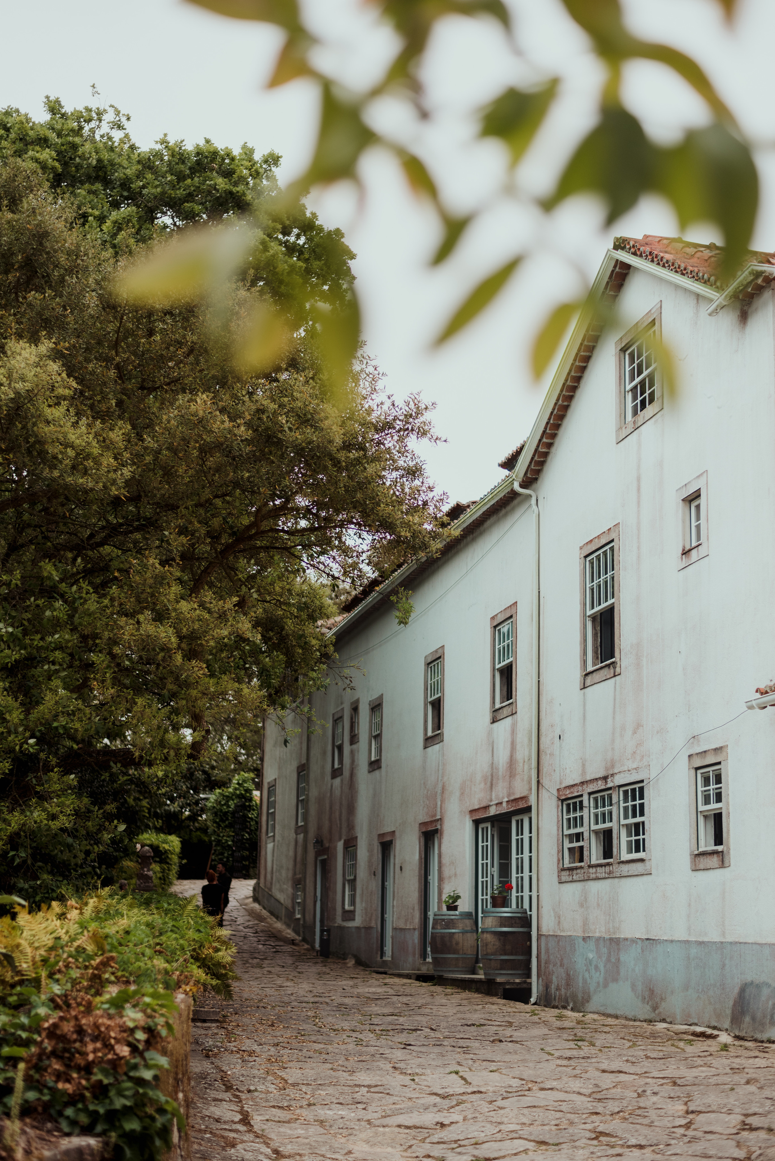 Garret + Filipe. Lifestyle, wedding and family photographer