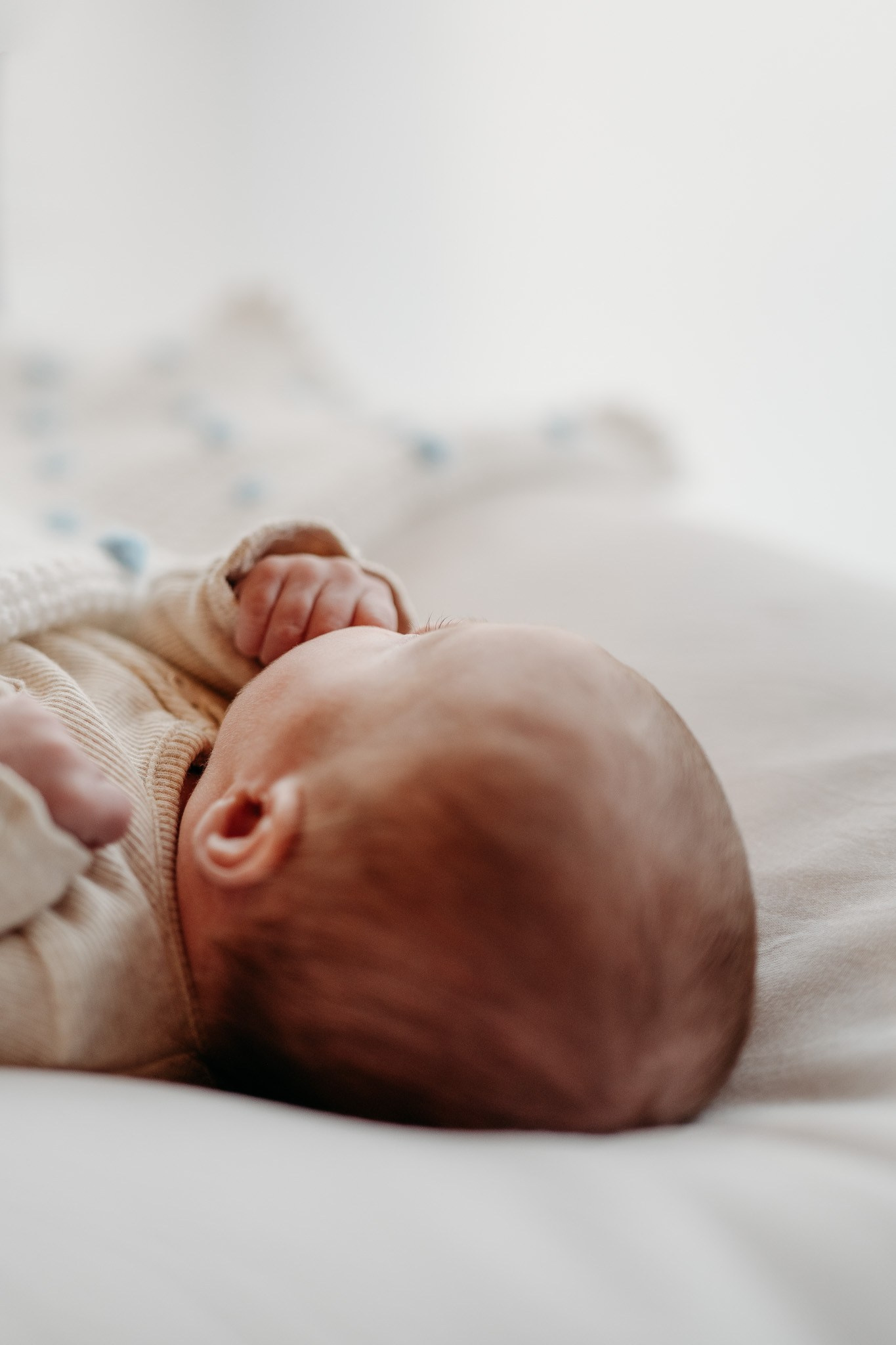 Newborn & Family Photographer