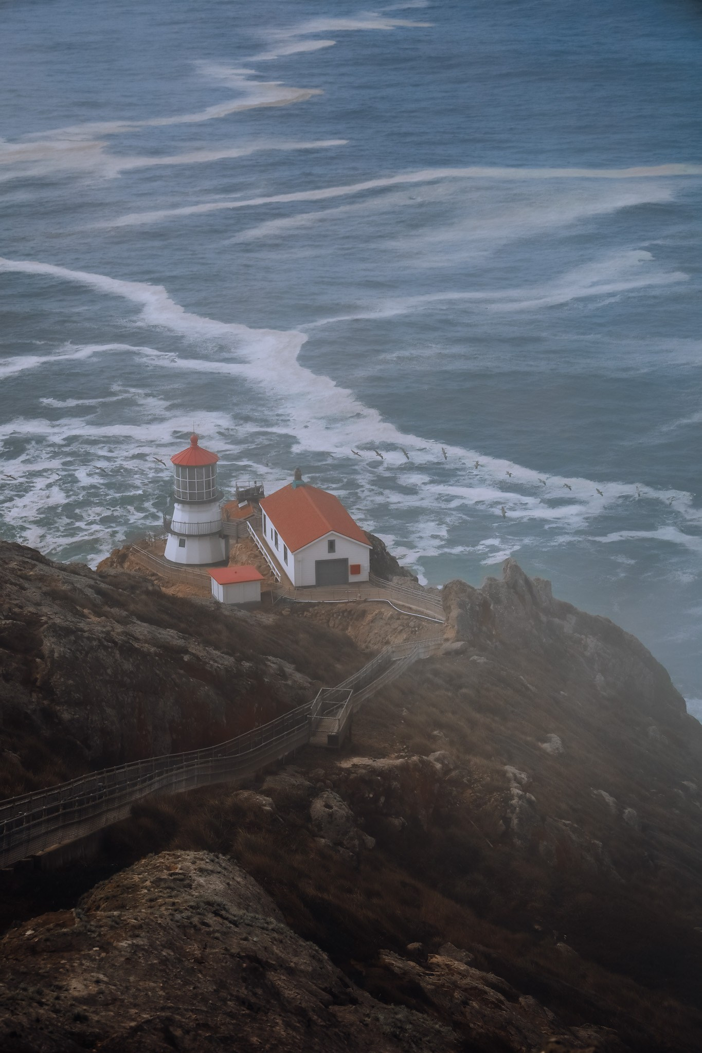 Print shop. Nailya Galibabayeva — San Francisco & Bay Area Photographer