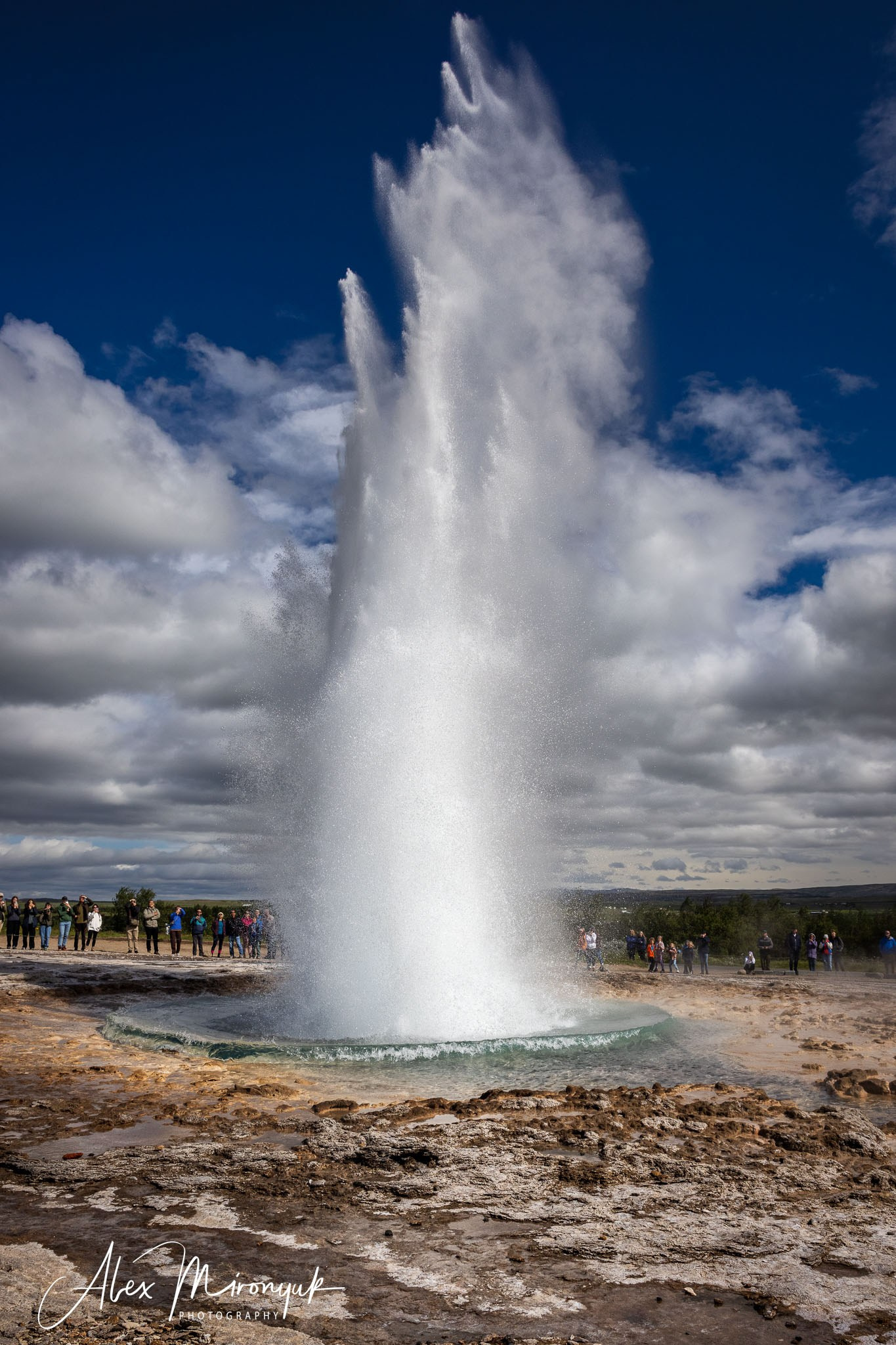 Winter in Iceland. Pet, Senior, Landscape, portrait studio, photographer in Miami and Sou