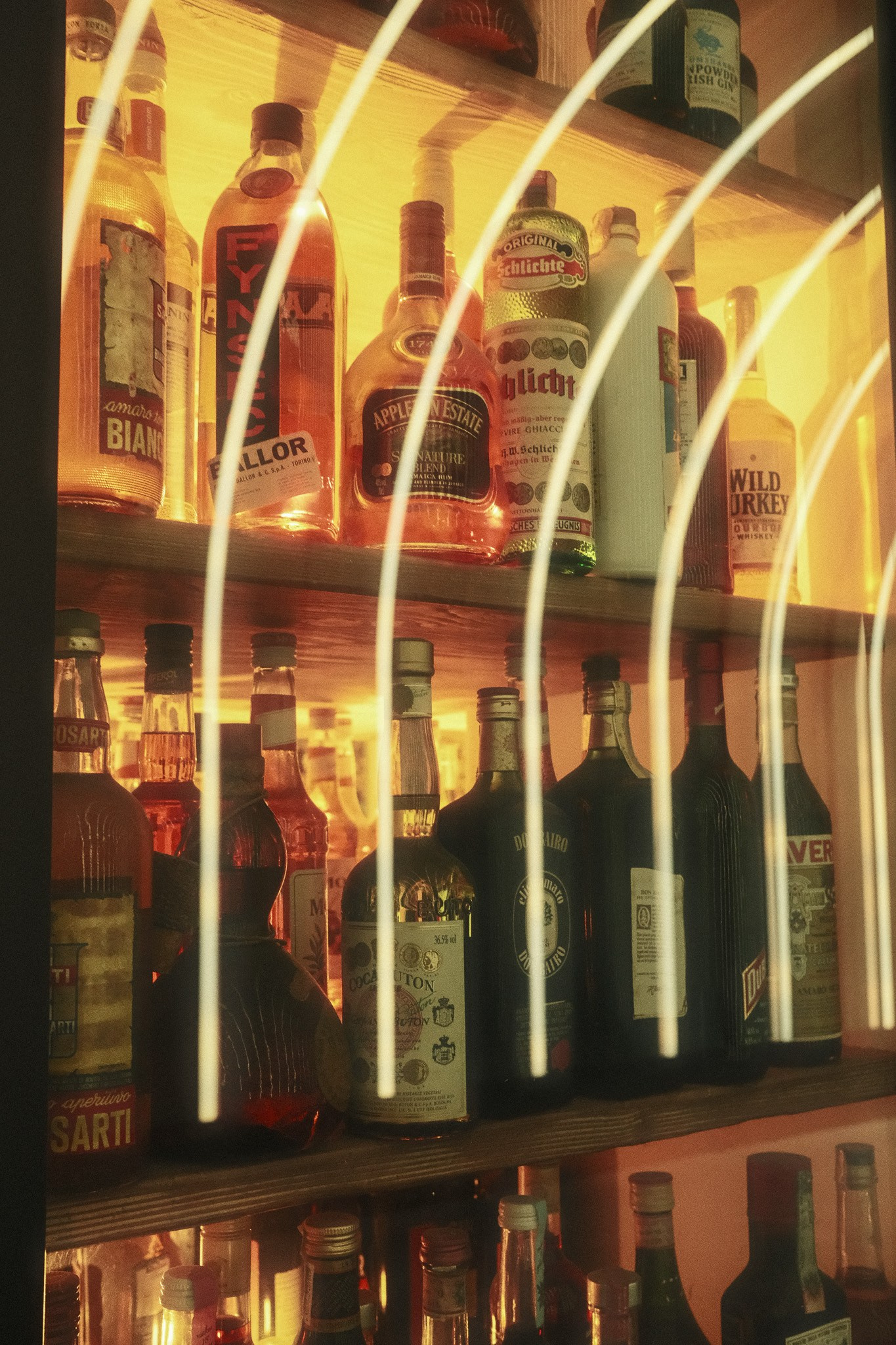 Are You Carrying Too Much Camera Gear? | Fujifilm X100VI. Cal Takes Photos