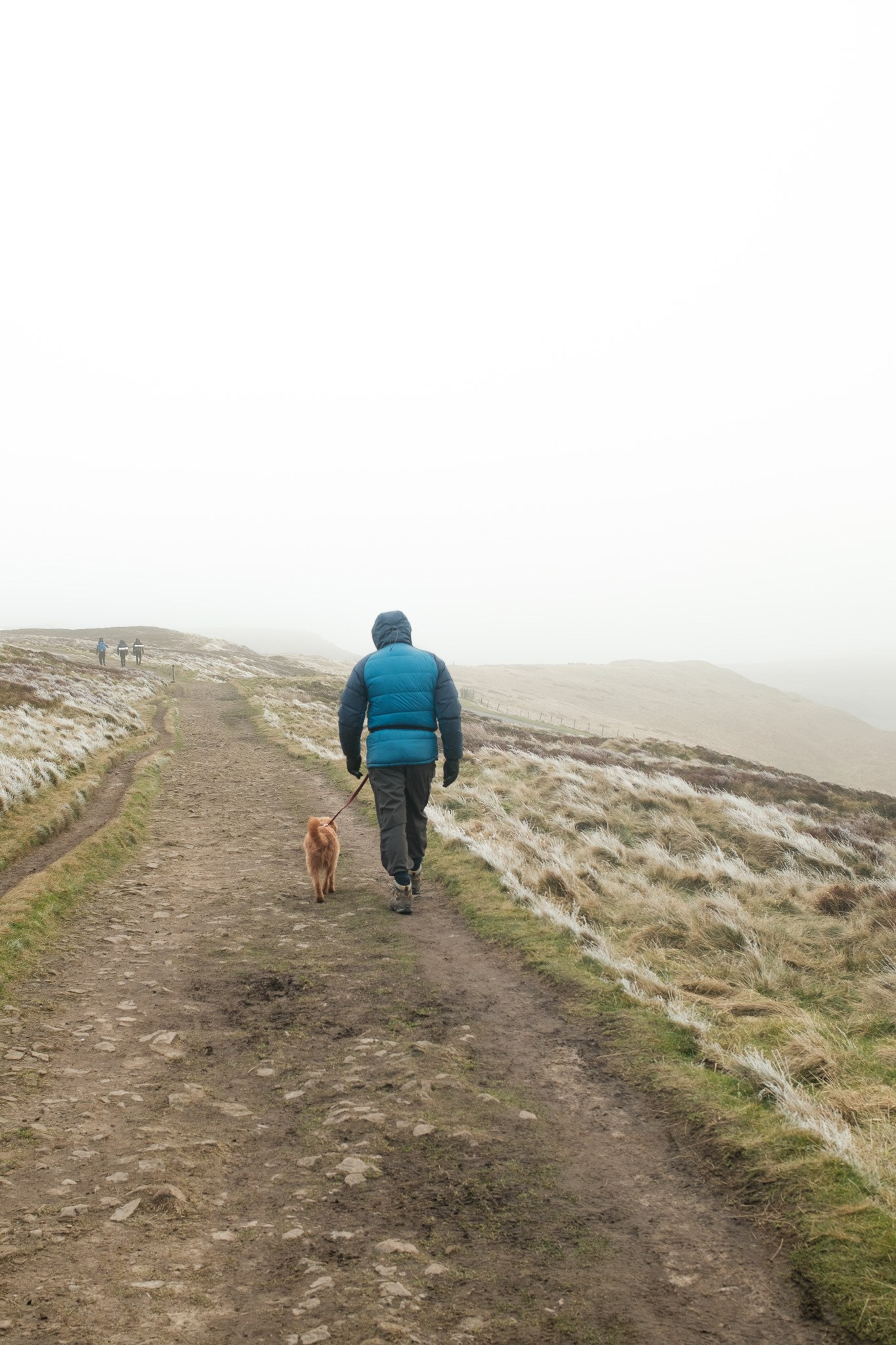 Can the Fujifilm X100VI Handle the Great Outdoors?. Cal Takes Photos