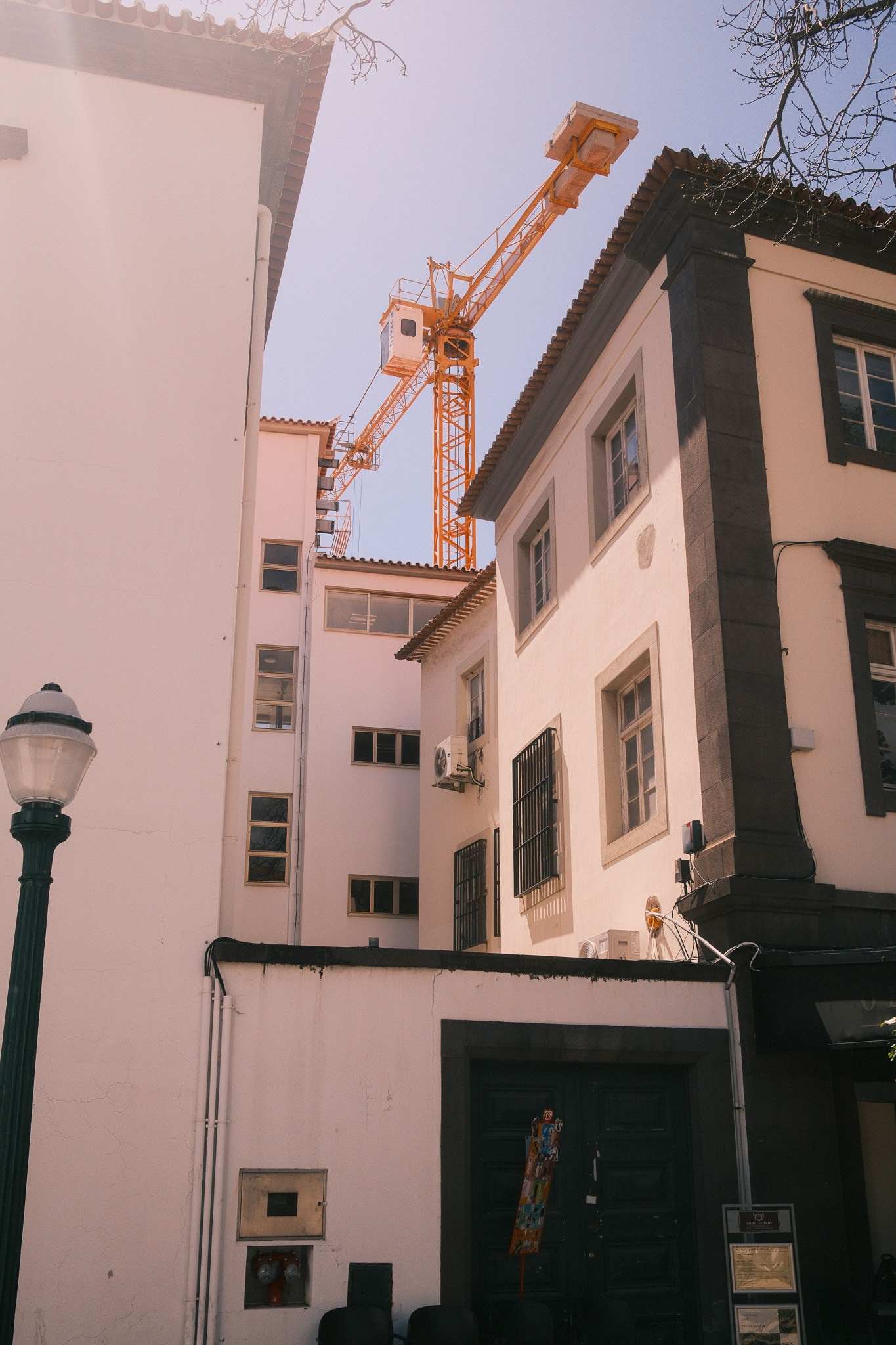 Summer Sunshine. Cal Takes Photos