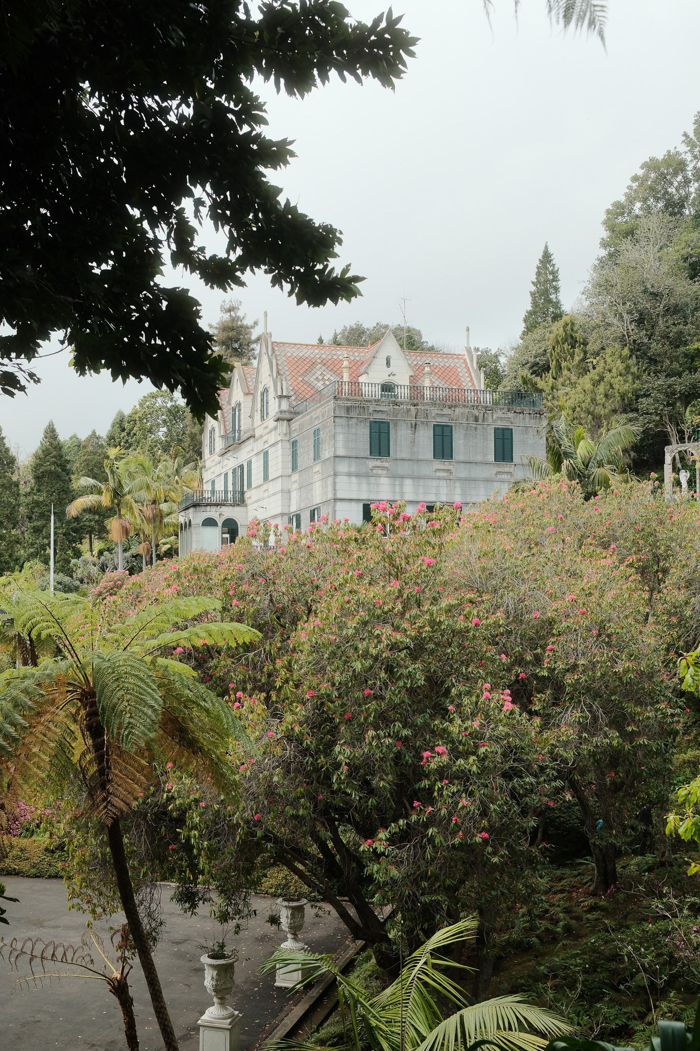 Atmospheric Daily. Cal Takes Photos