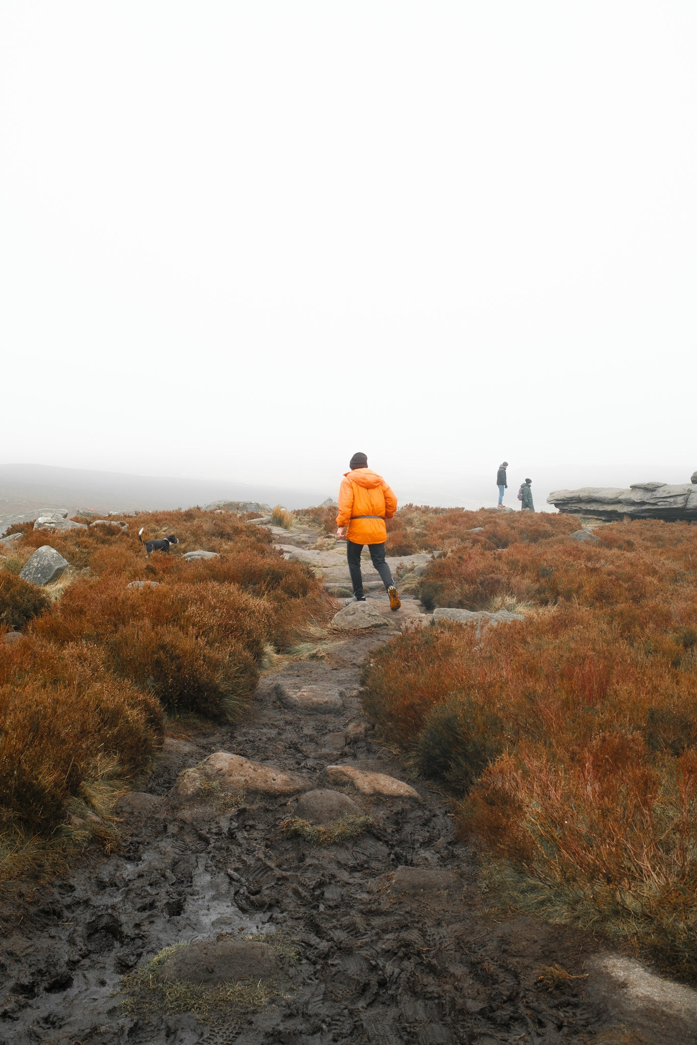 Can the Fujifilm X100VI Handle the Great Outdoors?. Cal Takes Photos