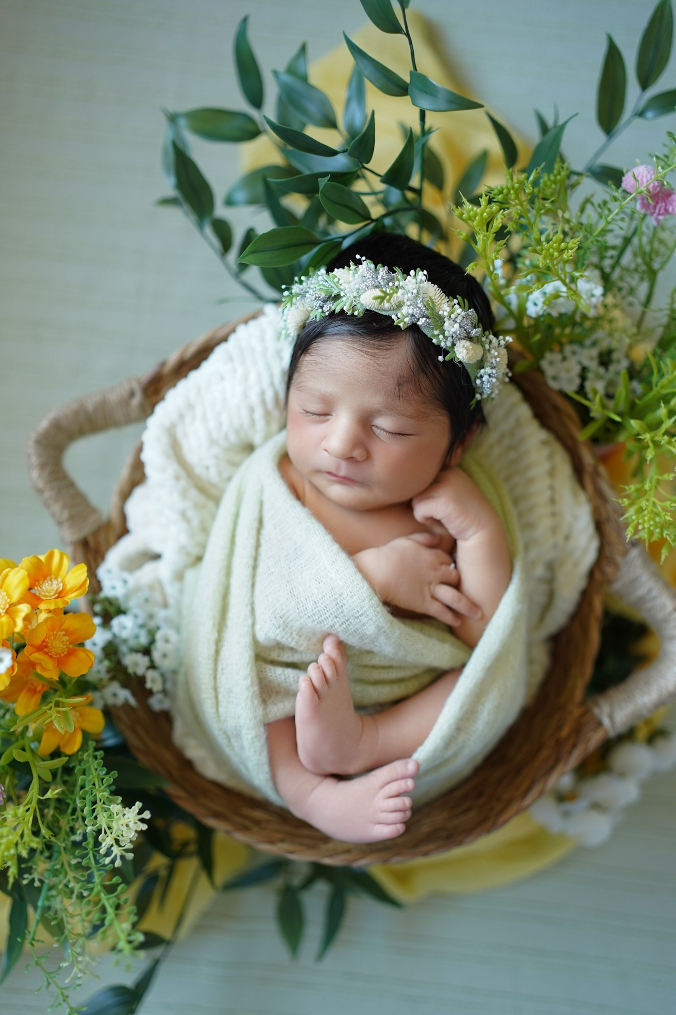 Maternity, family and newborn photography in San Francisco Bay Area