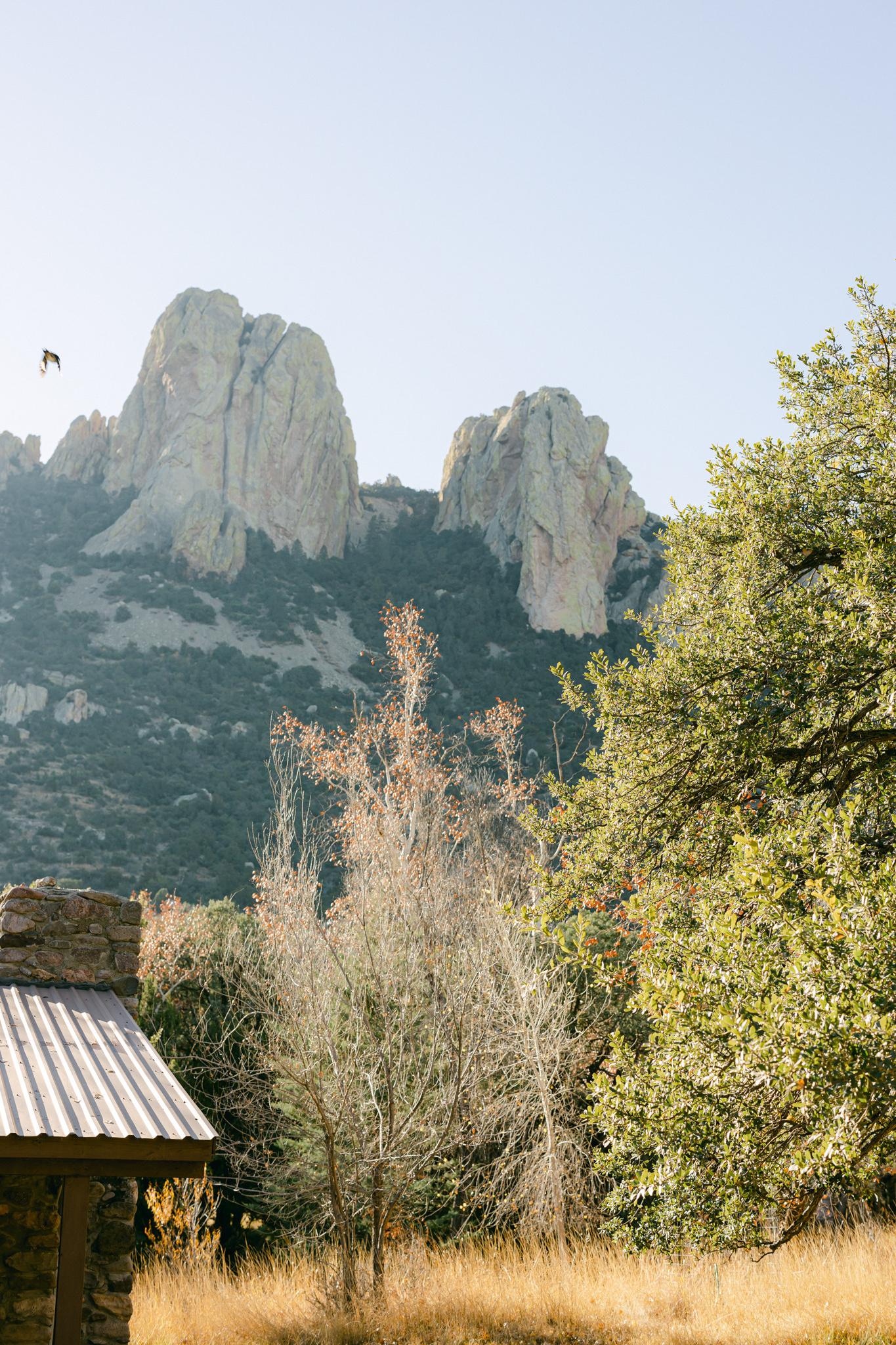 Wedding photographer in Michigan. Anastasia Post: Wedding and Editorial Photography