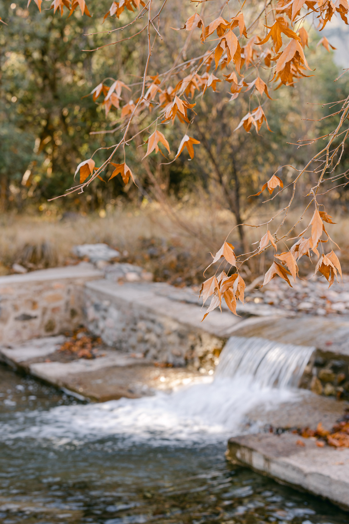 Wedding photographer in Michigan. Anastasia Post: Wedding and Editorial Photography