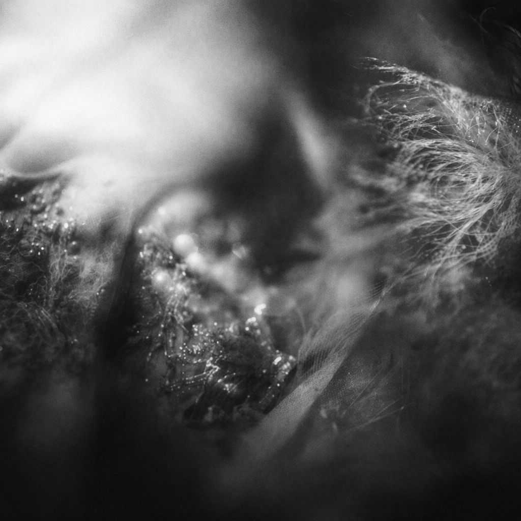 Unframed. Rui Mota Pinto Experiential Wedding Author