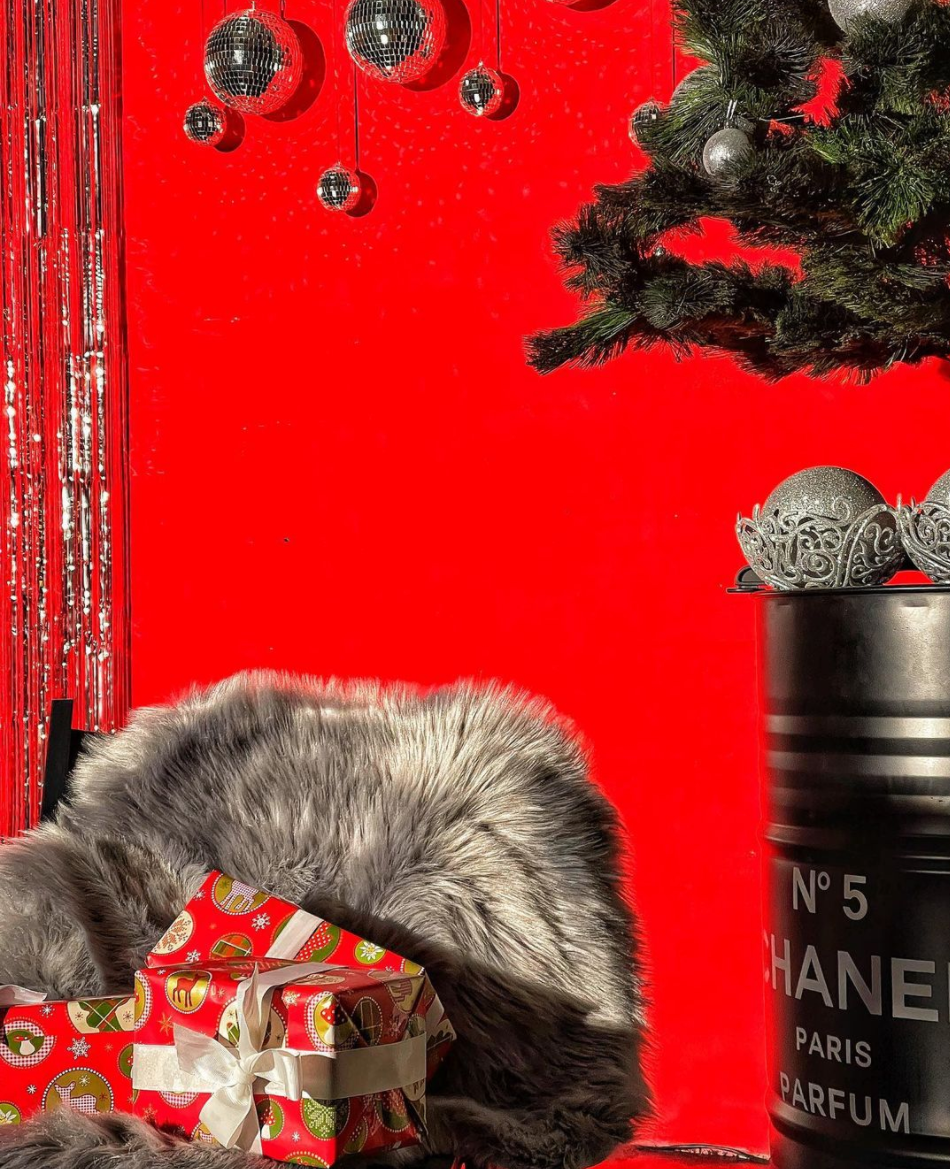 Fotostudios. Anastasiia Zaluzhna Fotografin | Mannheim