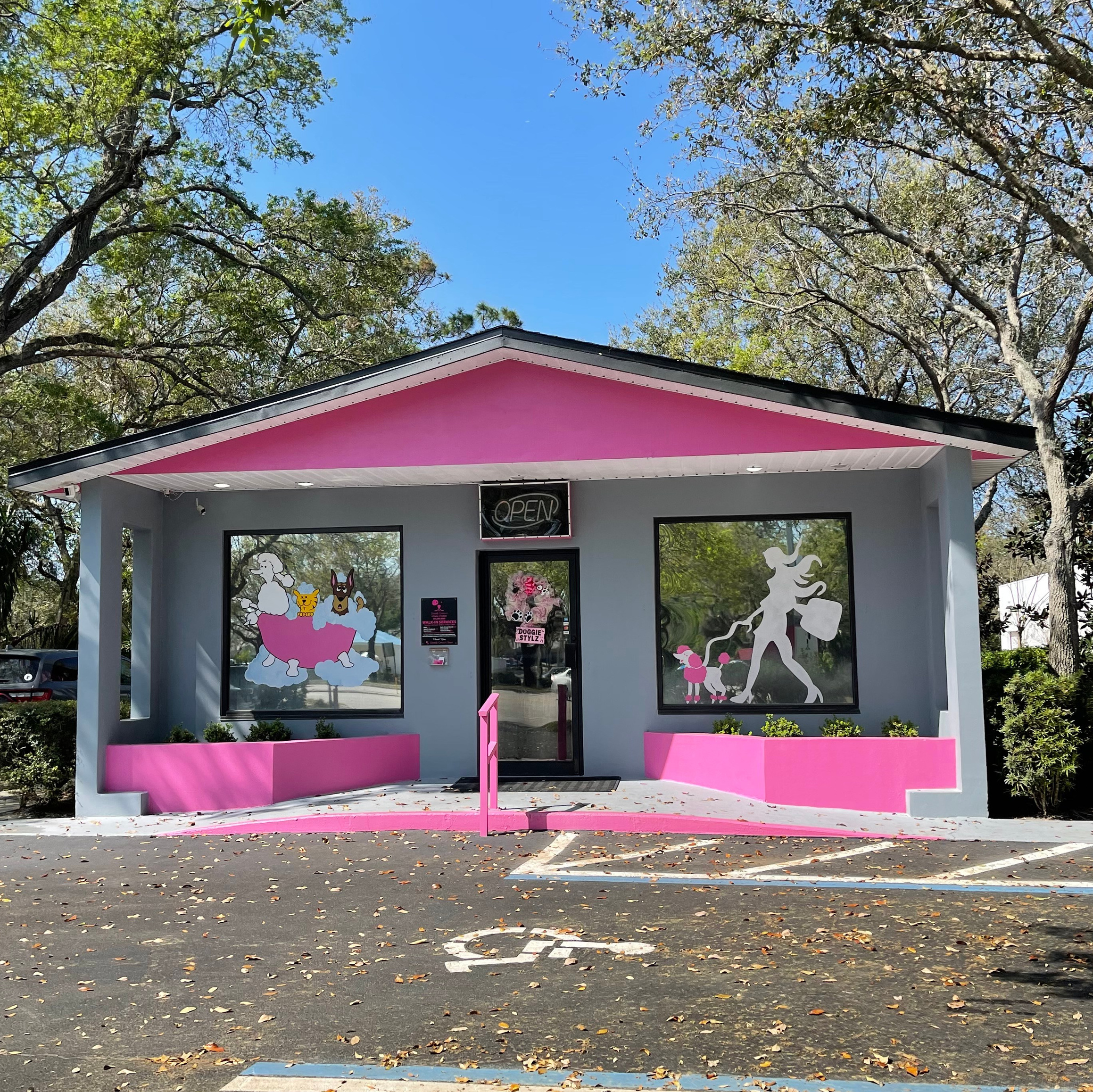 Doggie Stylz Pet Salon