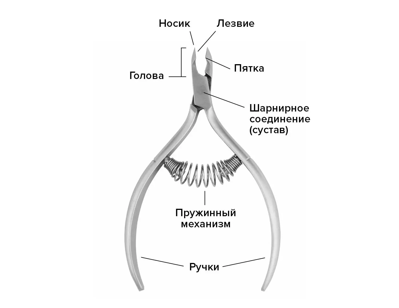 Советы по выбору маникюрных инструментов. Tööriistade teritamise ja restaureerimise meister