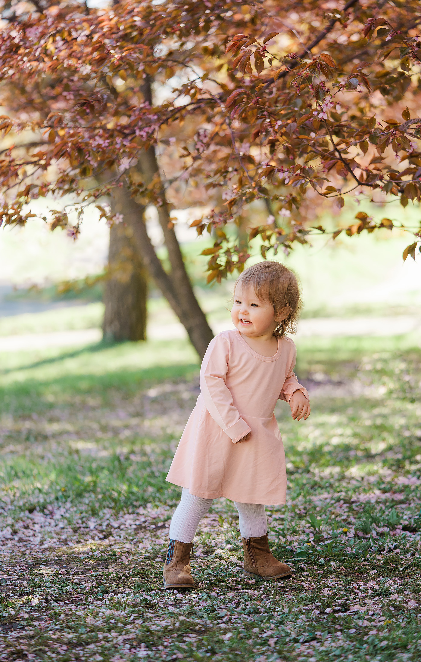 Kuvaus kirsikkapuistossa