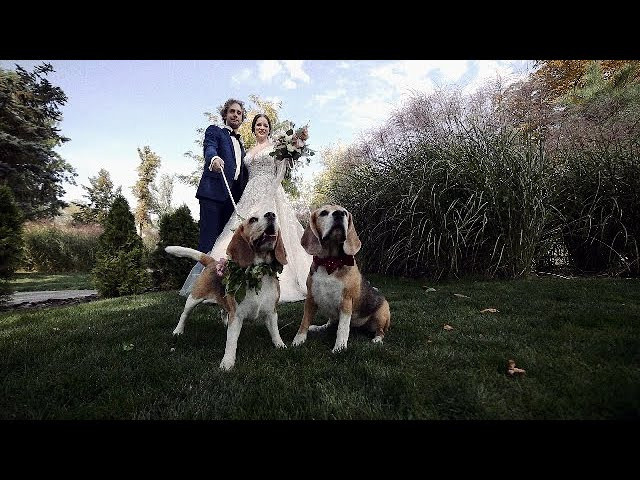 Відгуки. Весільне відео Київ