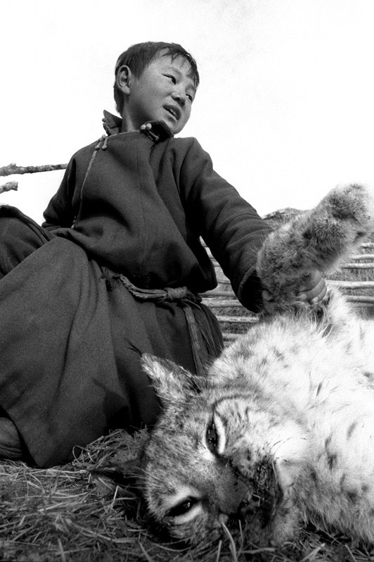 Реинкарнация духа рыси, между Горхи-Тэрэлж и Булагом, Монголия. Январь 2002