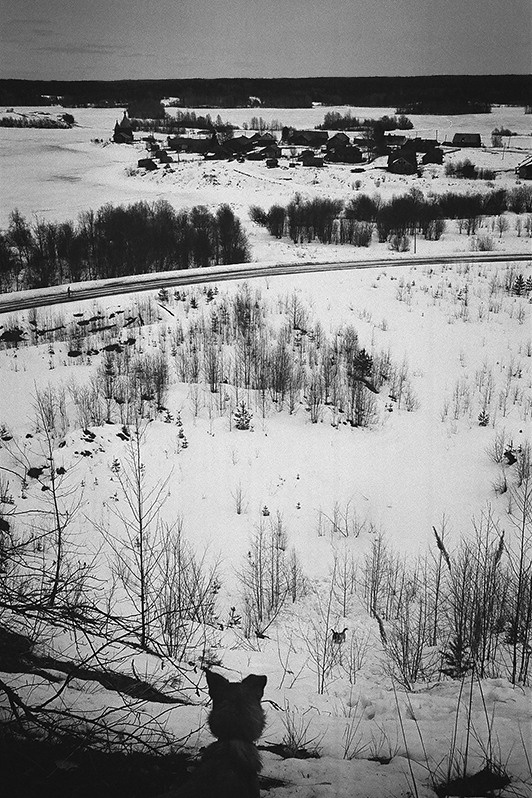 Александр Шумских / Колодозеро. Творческий союз Нога