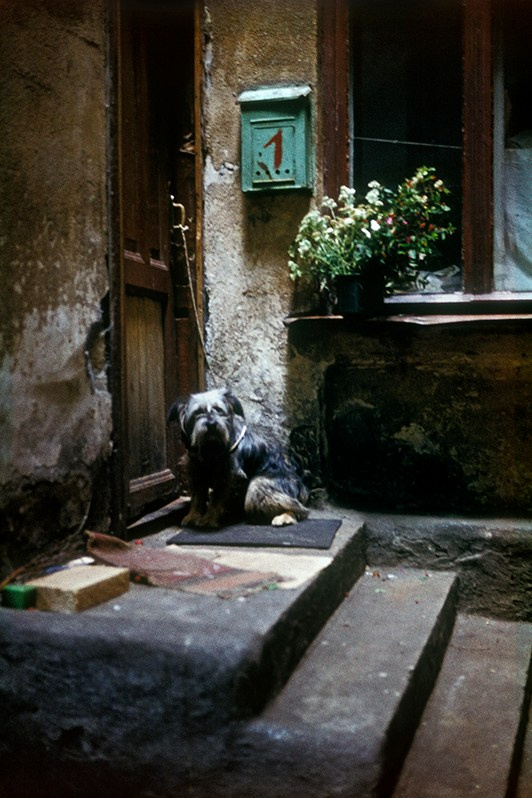 Одесский сторож в одном из дворов Молдаванки, улица Дворянская (бывш. ул. Петра Великого), Приморский район, Одесса, УССР. Август 1985