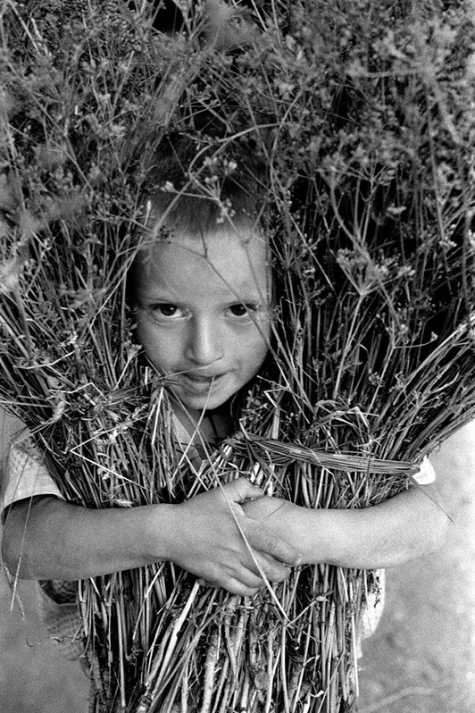 Ukhul village, Akhtynsky district, Republic of Dagestan, Russia. 1991