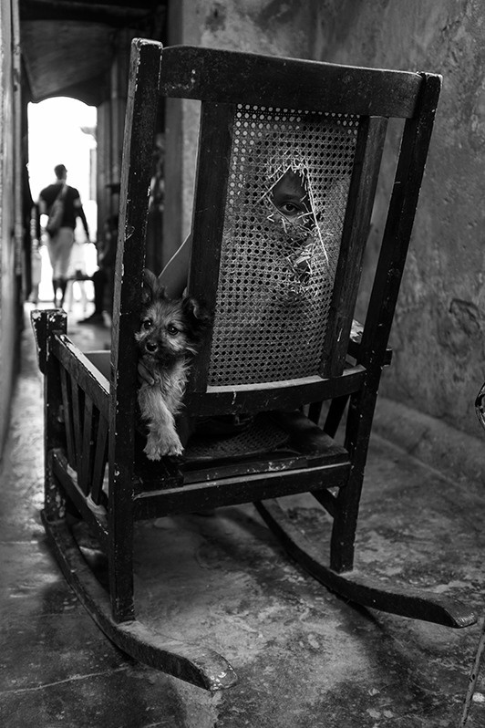 Portrait of a girl with a puppy from the Jesús María neighbourhood, Centro Habana district, Havana, Cuba. 2021