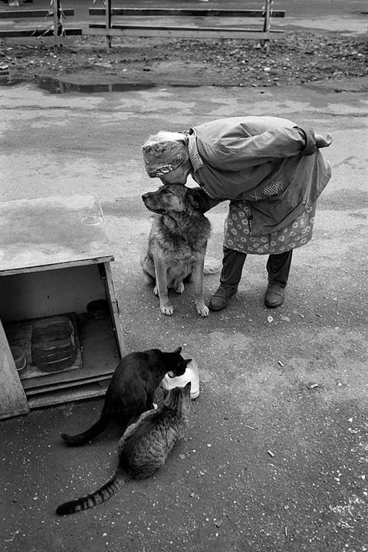 Kashin, Tver region, Russia. 2013