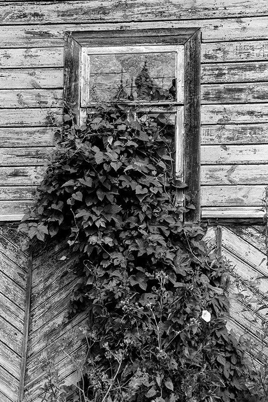 Borisoglebsky urban-type settlement, Yaroslavl region, Russia. July 2021