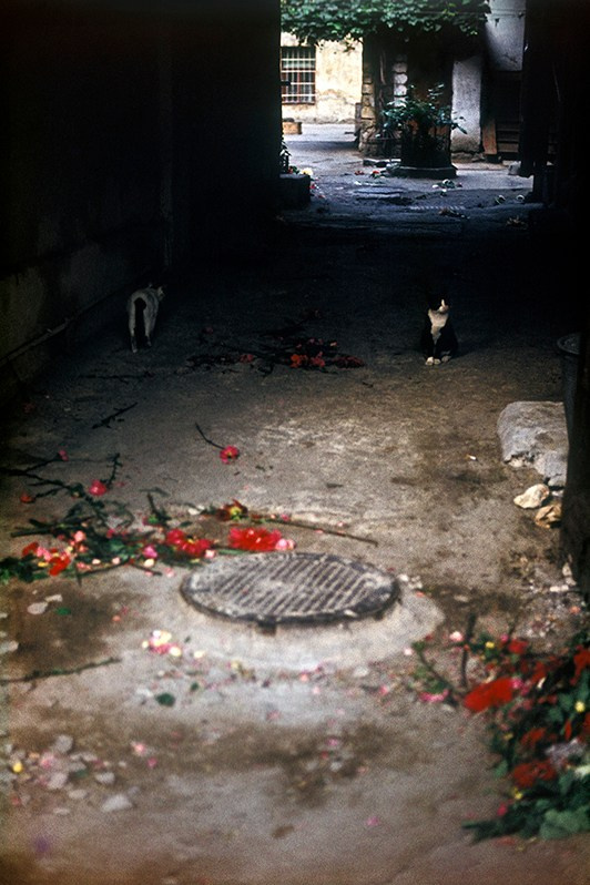 Исход. После похоронной процессии в одной из подворотен на улице Новосельского (бывш. ул. Островидова), Приморский район, Одесса, УССР. Июнь 1985