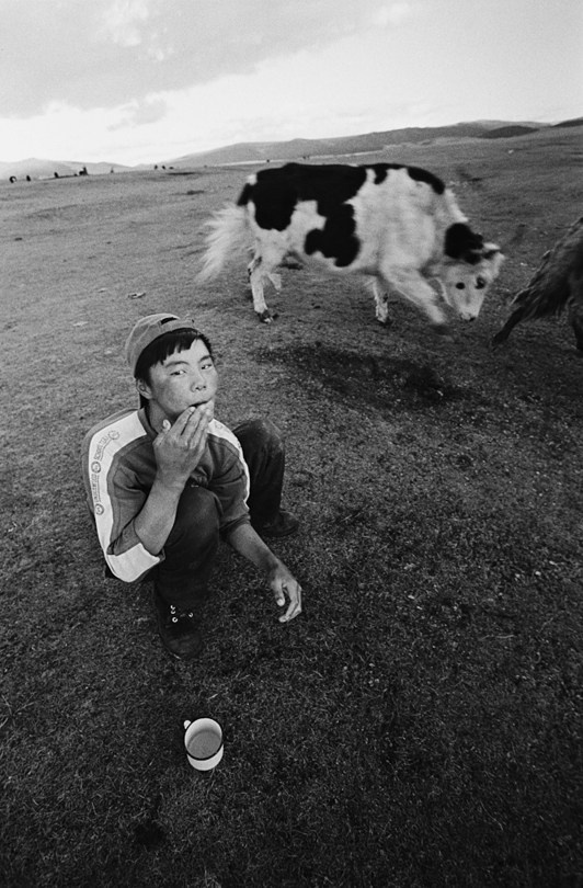 Провинция Хувсгел, Монголия. 2008