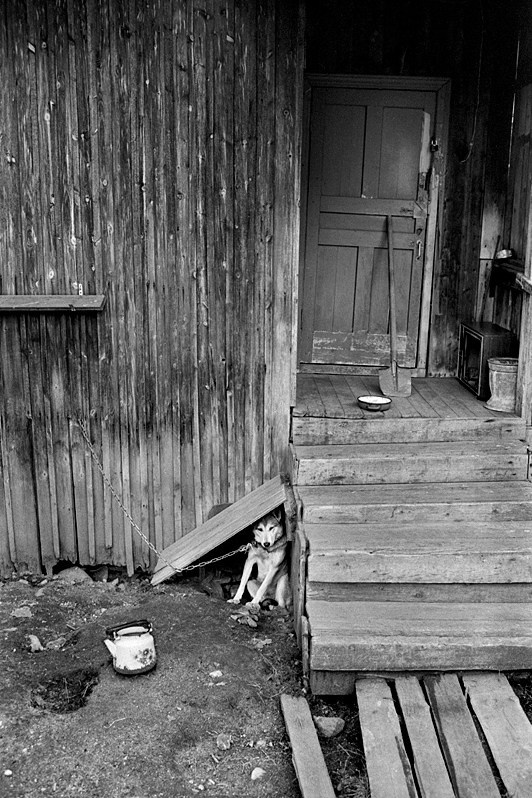 Malinovaya Varakka settlement, Loukhsky district, Republic of Karelia, Russia. 2014