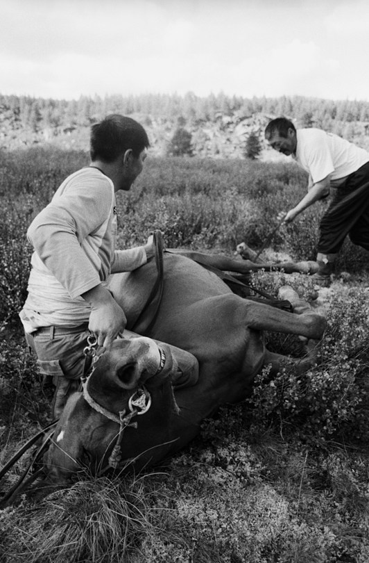Ulaan Taiga mountains, Khövsgöl province, Mongolia. 2009