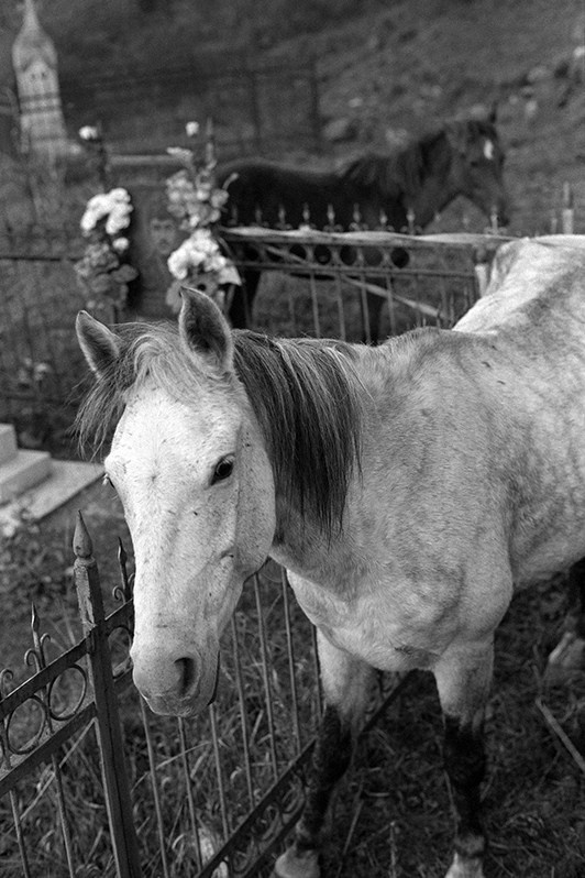 At the cemetery of Gandzasar monastery, Martakert district, Nagorno-Karabakh Republic. 2006