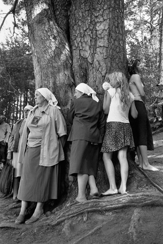 близ села Великорецкое, Юрьянский район Кировская область, Россия. Июнь 2006