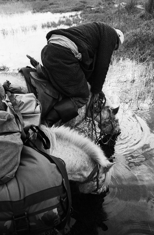 Tsagaan-Üür district, Khövsgöl province, Mongolia. 2010