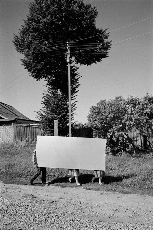 Plywood sheet, Staritsa, Tver region, Russia. 2011