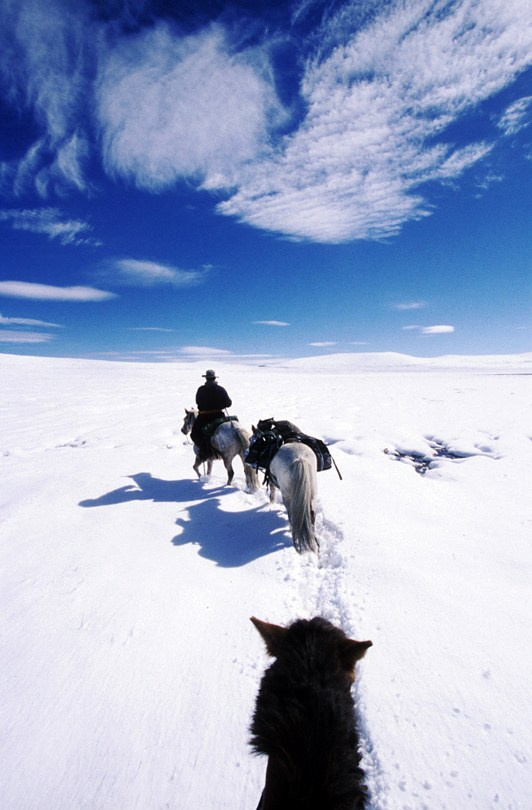 A lunar landscape after heavy snowfall, Ulaan Taiga mountains, Khövsgöl province, Mongolia. September 2013
