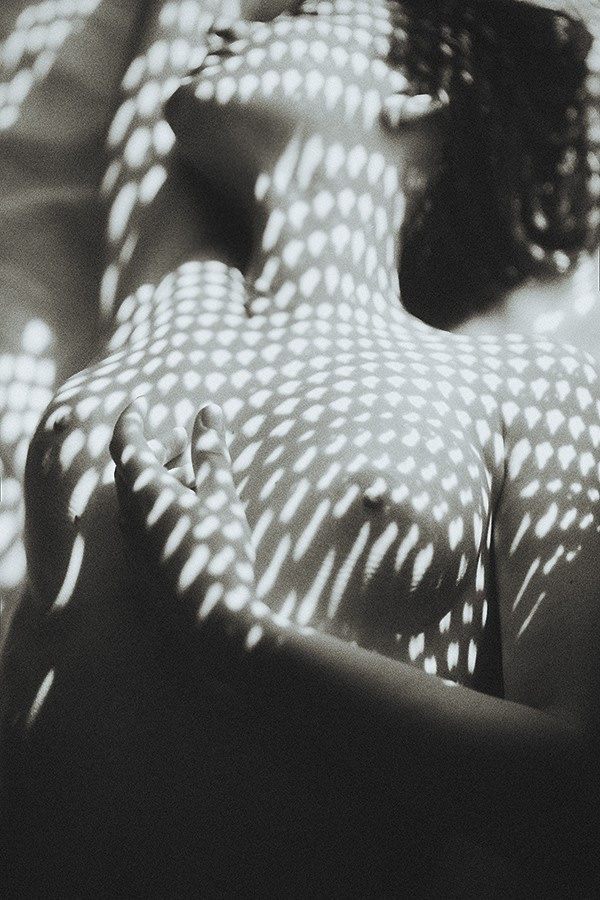 Svitlo. Головна