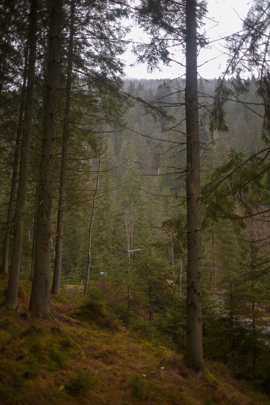 Ukraine. Precarpathian. Головна