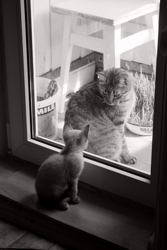 Нова Каховка. Peter Pushkin Photographer