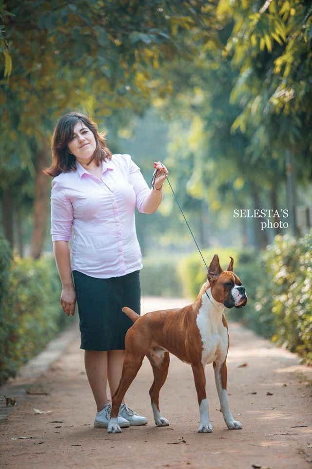 Pets and people. Pets and people photographer Kateryna Mumzhynska