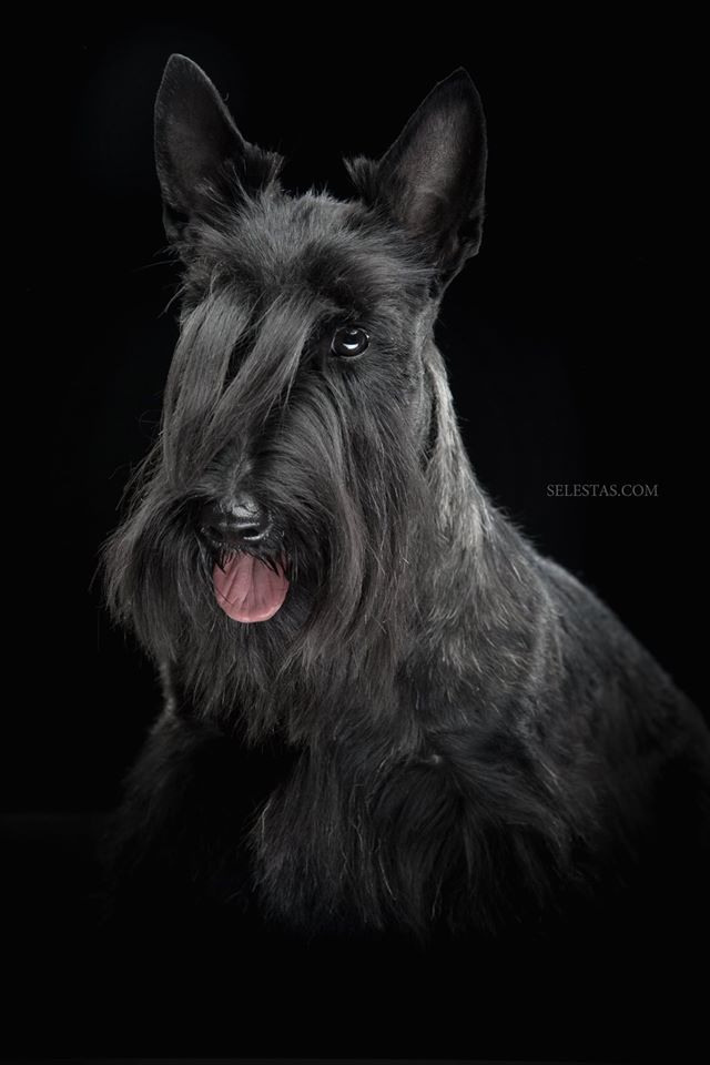 Студиія. Фотограф Катерина Мумжинська