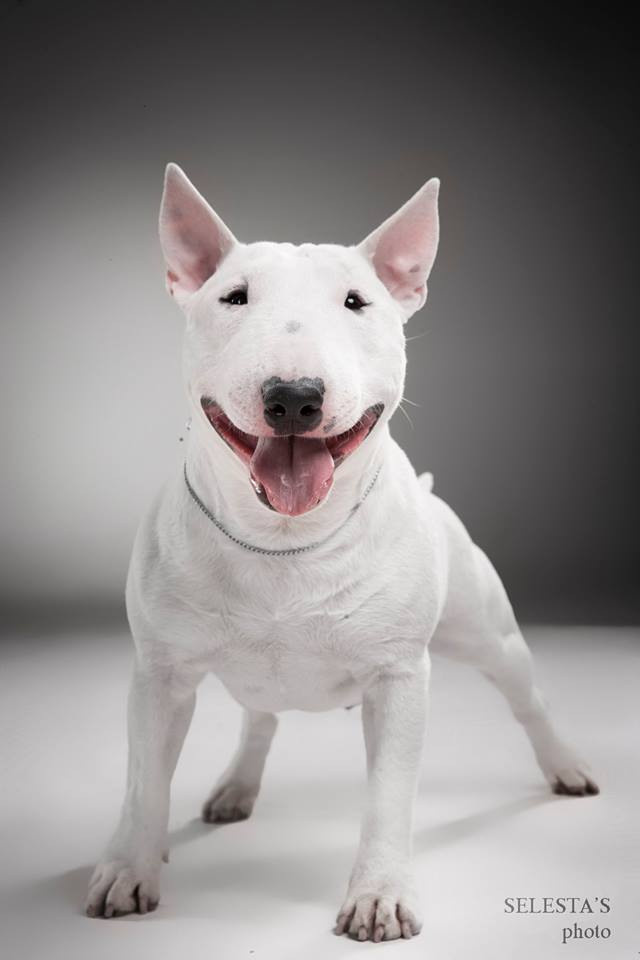 Студиія. Фотограф Катерина Мумжинська