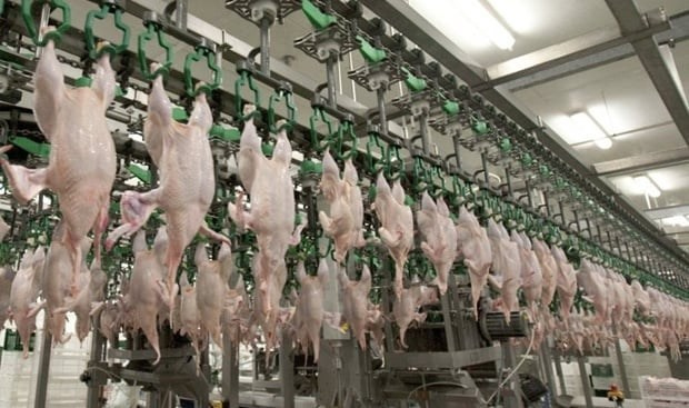 Комплексна фотосессія для товарів для AMAZONE