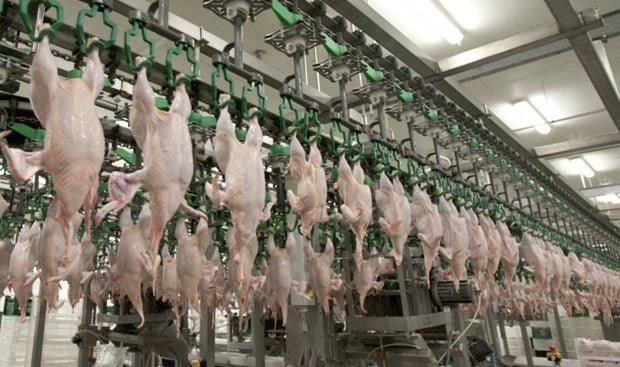 Якісна Контентна Фотосесія (Дніпро) АГПК Дніпровський