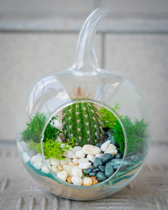 Content for a store of compositions with succulents. Portrait and wedding photographer in New York